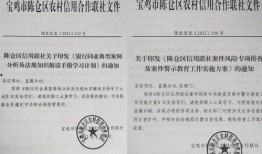宝鸡陈仓区爆料案件最新,案情揭秘，警方全力侦破