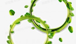 树叶最新爆料文案图片,最新爆料图片背后的惊人真相