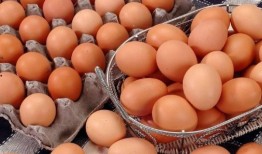 吉林鸡蛋大爷最新爆料网,揭秘鸡蛋市场的惊人内幕！