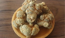 文山三七行情最新爆料