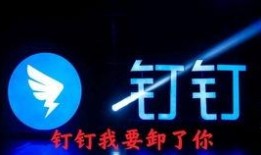 首发爆料最新视频下载,带你一探究竟