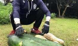 新瓜最新爆料邯郸,新瓜爆料揭开神秘面纱