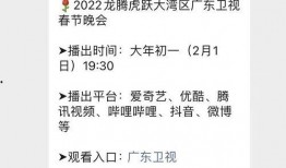 春节更新爆料最新消息,精彩活动与惊喜福利抢先看！