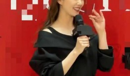 新瓜最新爆料歌手,神秘歌手身份揭晓，音乐界再掀波澜