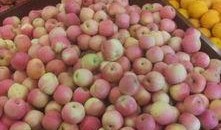 新瓜最新爆料邯郸,新瓜爆料揭开神秘面纱