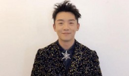 郑恺收入爆料最新消息,揭秘明星真实收入背后的惊人数字