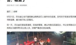 浮桥邻居爆料案件最新