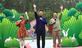 王子最新爆料大号视频,大号视频背后的惊人真相