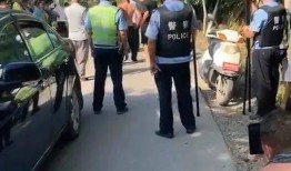 魏县最新爆料事件,揭秘事件背后惊人真相