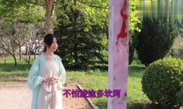 素英最新爆料视频,娱乐圈惊人内幕大曝光！